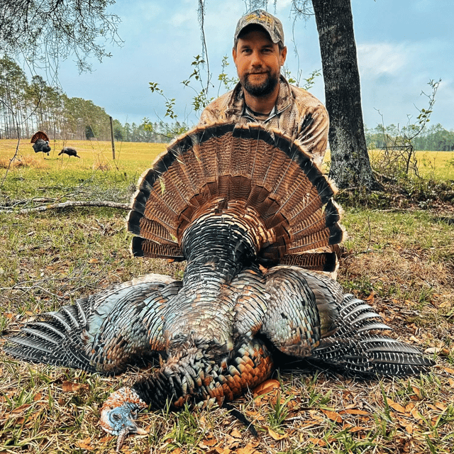 Takin' Down Turkeys in FL!