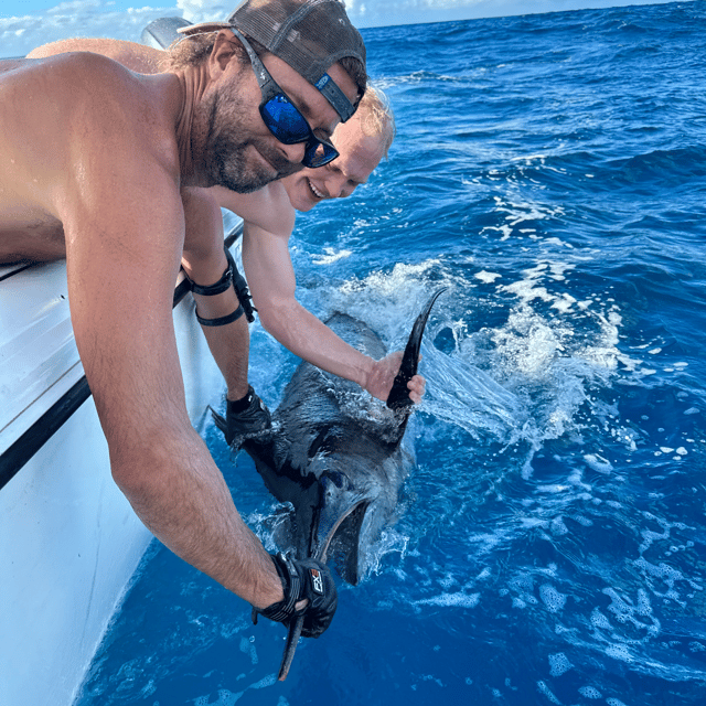 Blue Marlin Fishing in Rincon, Puerto Rico