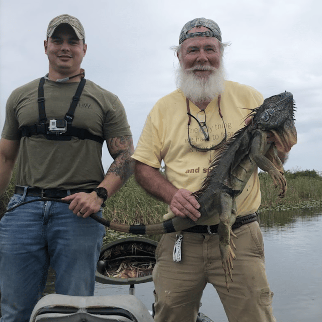 Iguana Hunting in Delray Beach, Florida