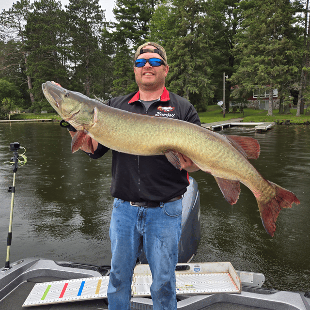 1/2 Day Musky Fishing