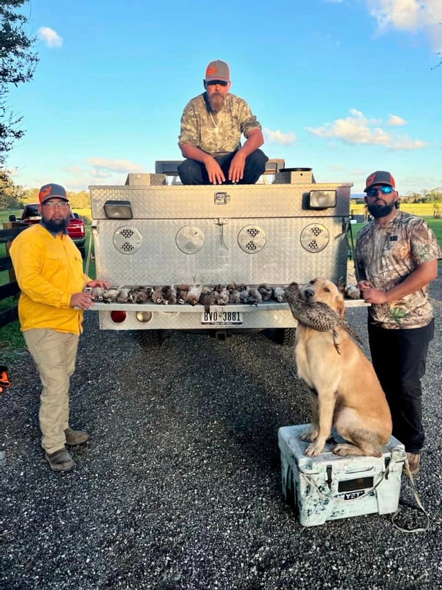 SE FL Quail Hunts