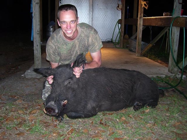 Trophy Hog Hunts