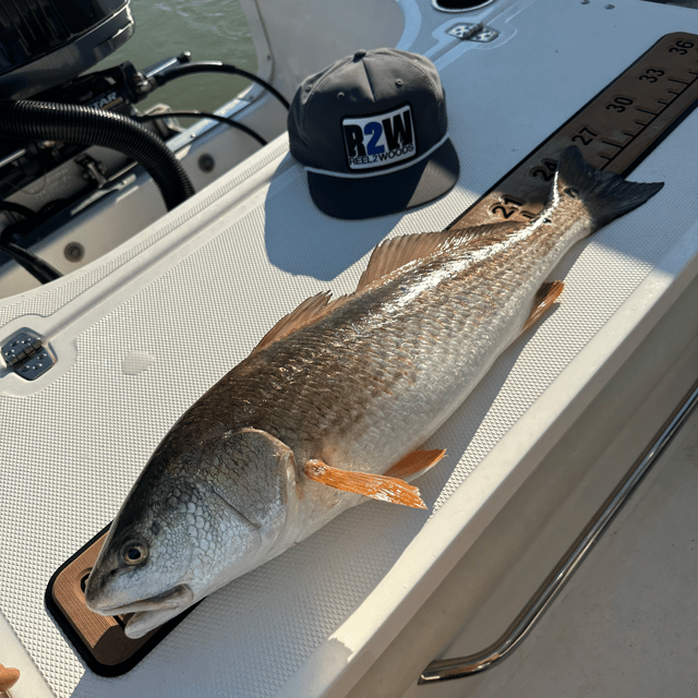 Redfish Fishing in La Porte, Texas