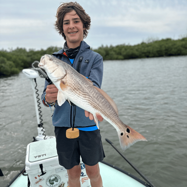 Sight fishing mosquito lagoon