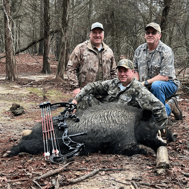 Hog Hunting in Bivins, Texas