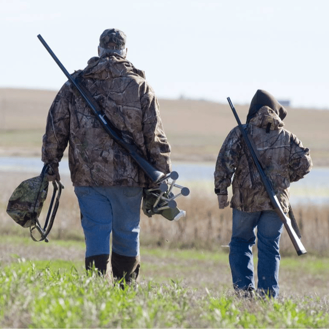 Quail Hunting Fun