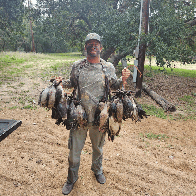 El Campo Ducks