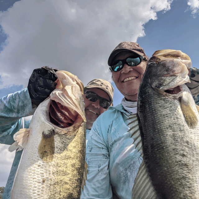 Largemouth Bass Fishing in Lake Wales, Florida