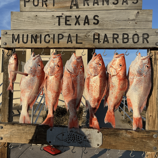 Red Snapper Fishing in Port Aransas, Texas