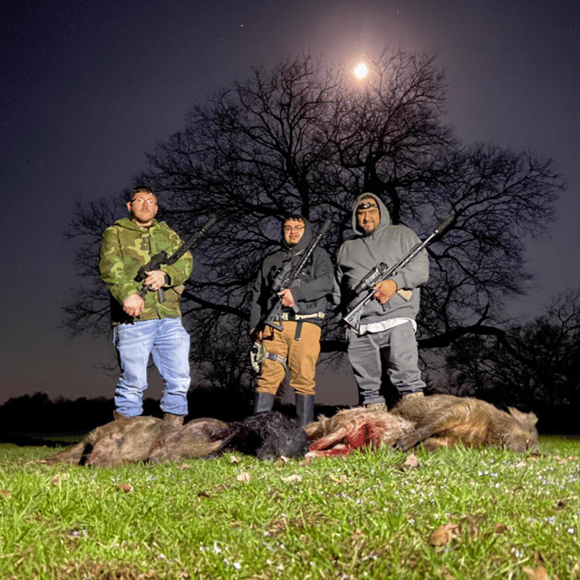 Hog Hunting in Honey Grove, Texas