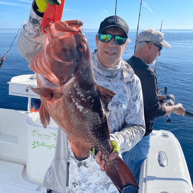 Red Grouper Fishing in Madeira Beach, Florida