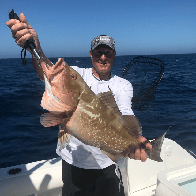 Red Grouper Fishing in Madeira Beach, Florida