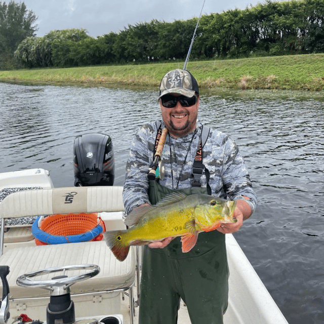 Peacock Bass Fishing in Delray Beach, Florida