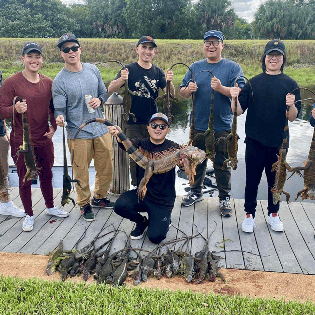 Iguana Hunting in Fort Lauderdale, Florida