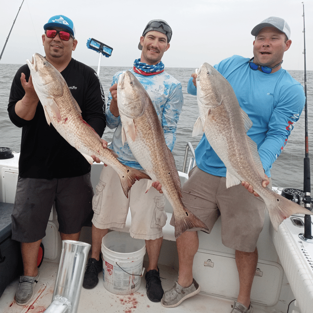 Halfday PM 33 Ft Contender: Texas Deep Sea Fishing Charter