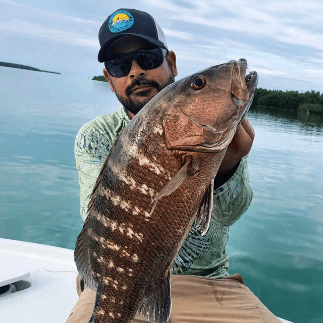 Tavernier Backcountry Fishing