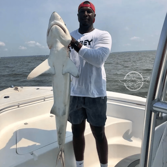 Blacktip Shark Fishing in Hilton Head Island, South Carolina