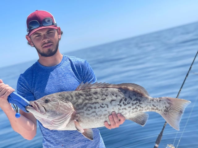 Gag Grouper Fishing in Pensacola, Florida