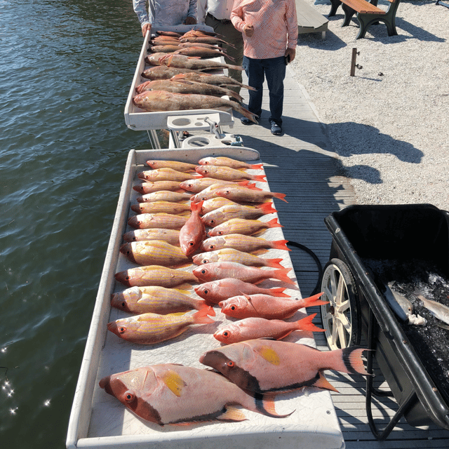 8hr Trip 30-40 Miles Offshore