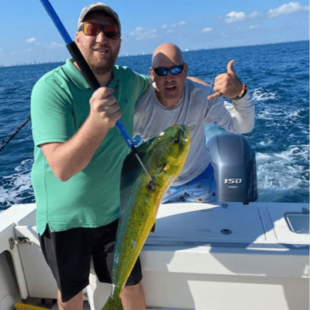 Mahi Mahi Fishing in Pompano Beach, Florida