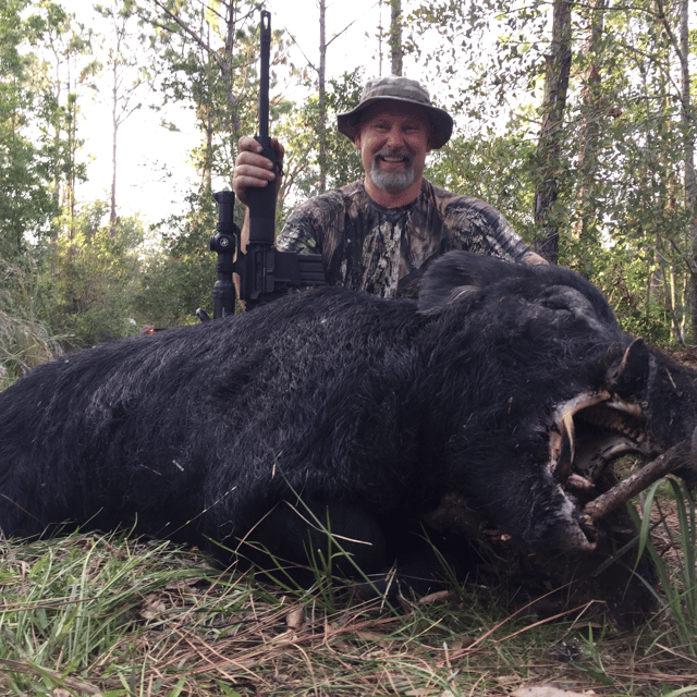 Hog Hunting in Zolfo Springs, Florida