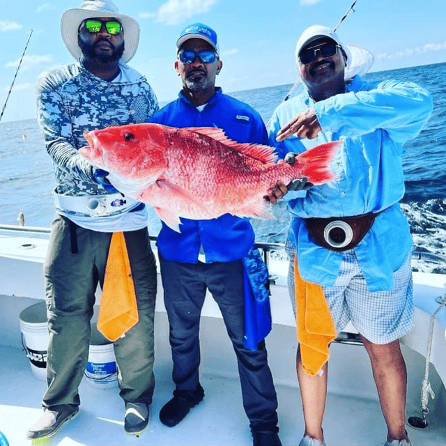 Orange Beach Red Snapper Slam