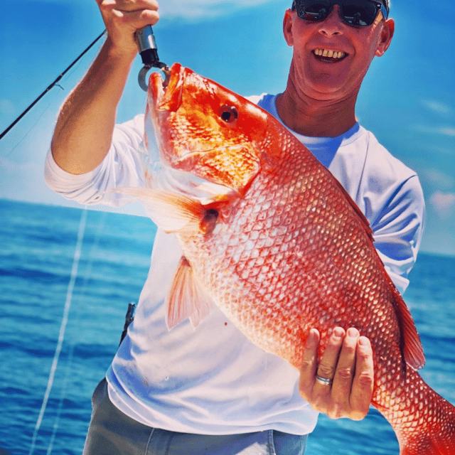 Pensacola Red Snapper Frenzy