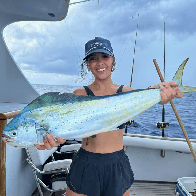 Mahi Mahi Fishing in Marathon, Florida