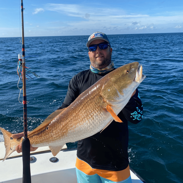 October-November, Fall Bull Redfish trip