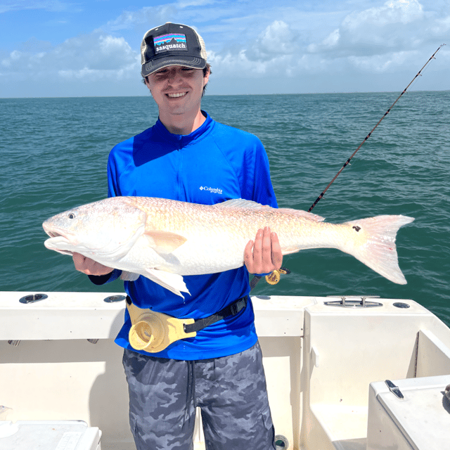 Bay/Jetty Fun! - 33'