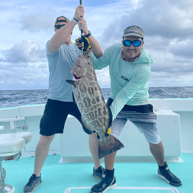 Black Grouper Fishing in Miami Beach, Florida