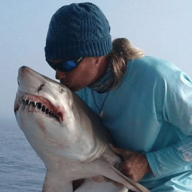 Shark Fishing