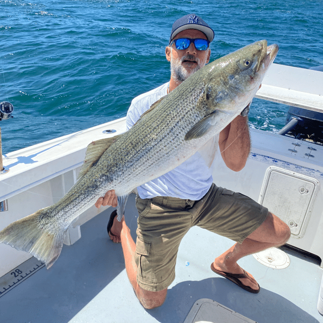 Evening/ Night Striped Bass