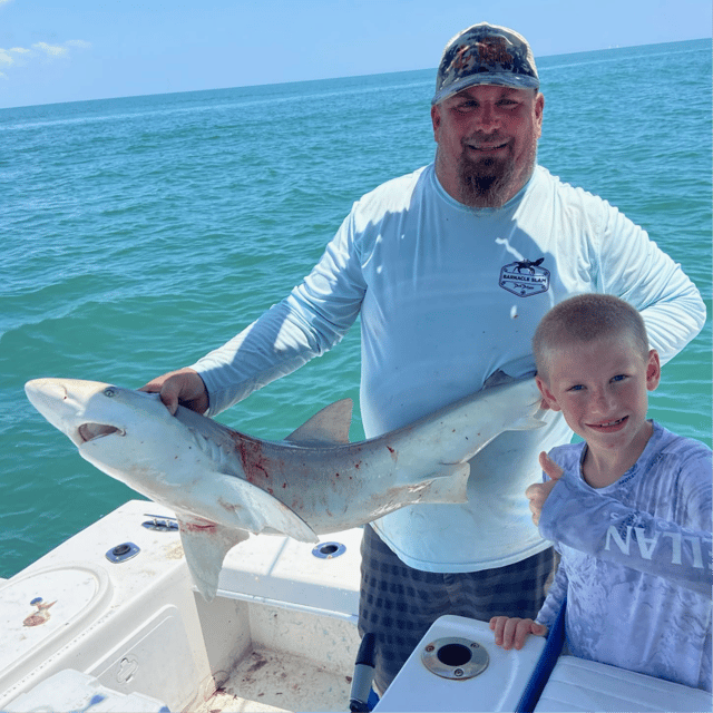 Coastal shark trips