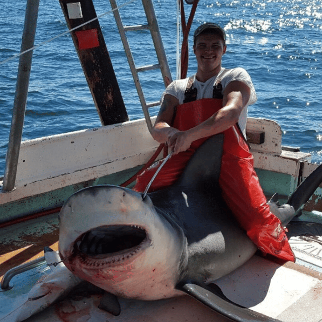 Shark Fishing Experience