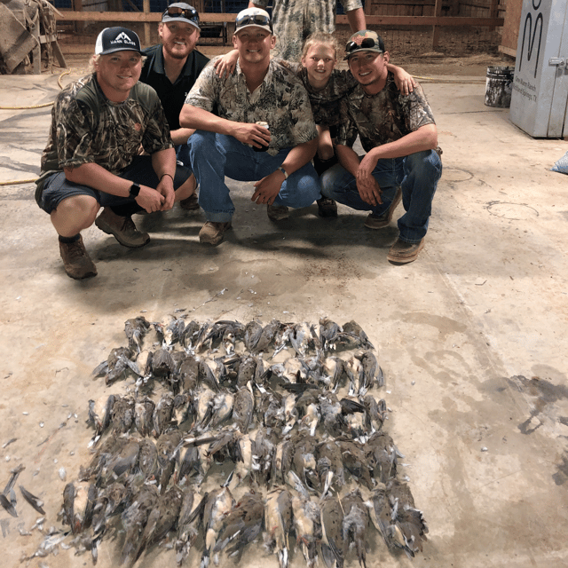 All inclusive 3 day Dove Hunt