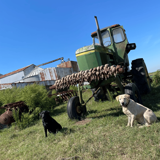 Sout West Louisiana Teal Hunt