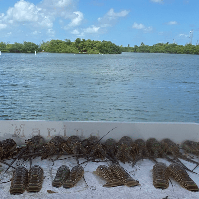 Lobster Fishing in Key West, Florida