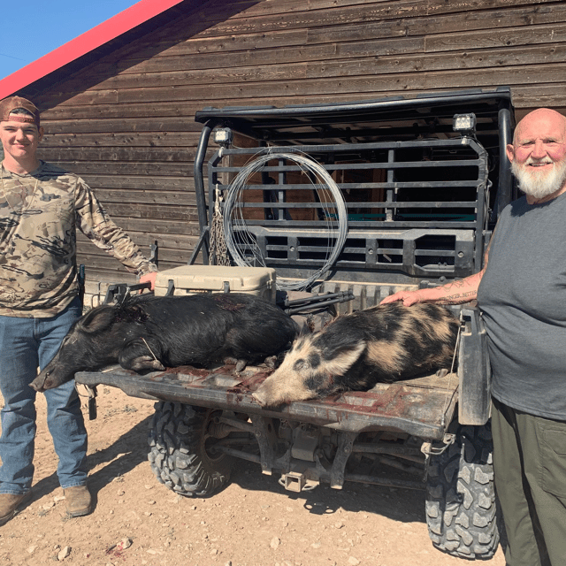 Hog Hunting in Ozona, Texas