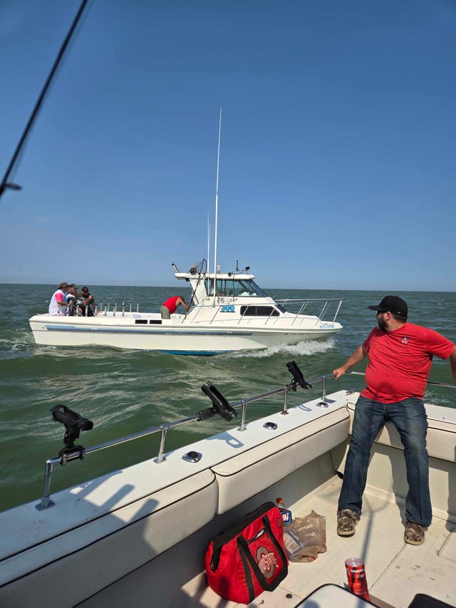 Walleye and Perch Execution