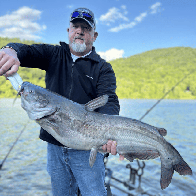 Blue Catfish Fishing in Chattanooga, Tennessee