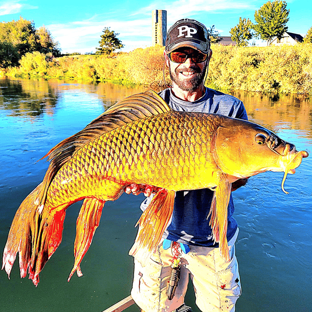 Carp Fishing in Meridian, Idaho