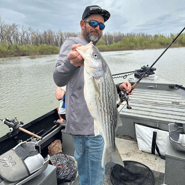 Sacramento River Striper Trip