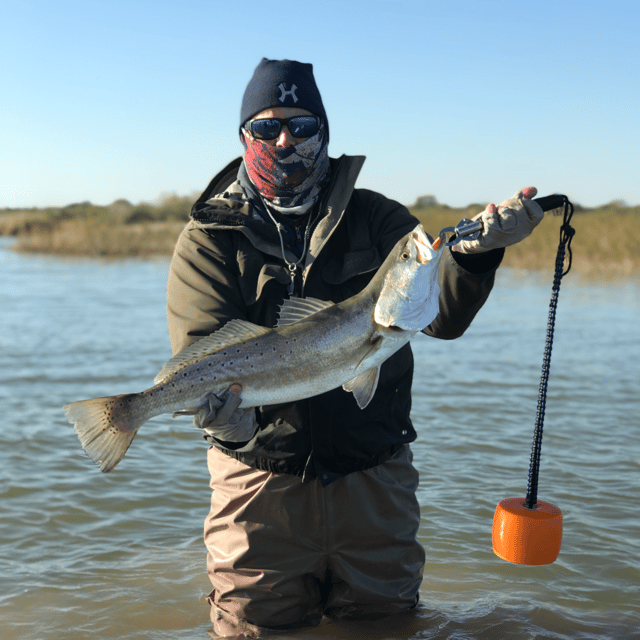 Matagorda Bay: Wade Fishing Trip