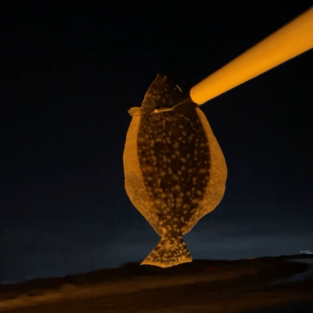 Flounder Fishing in Port Aransas, Texas