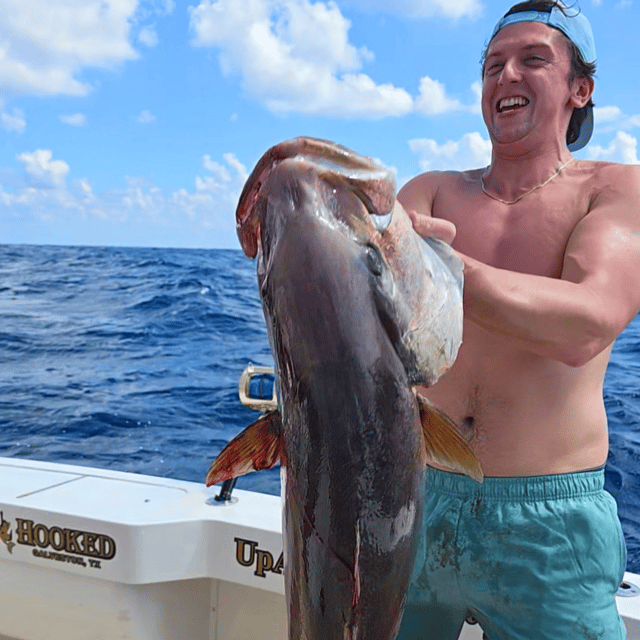 Cobia Fishing in Galveston, Texas