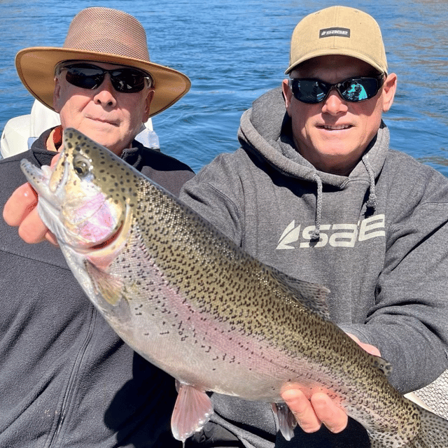 Trout Fly Fishing Trips