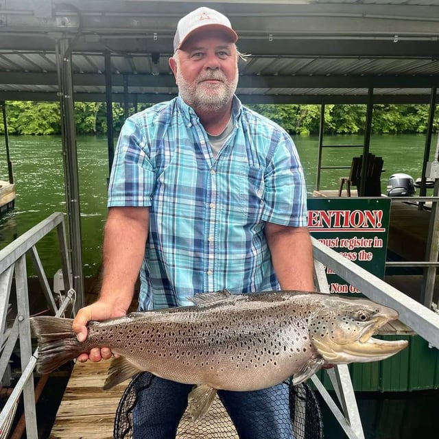 Taneycomo Trout Fishing