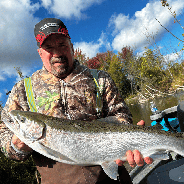 Betsie River Guide