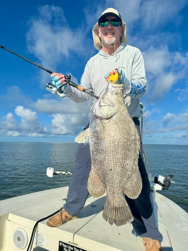 XL Tripletail, Tarpon & Redfish